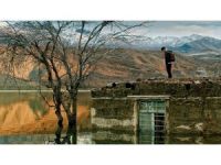 Kürt filmine uluslararası ödül