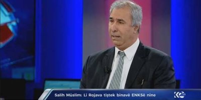 Kürt Akademisyen: Kürt meselesi DSG’den çok daha eski bir siyasi harekete dayanıyor