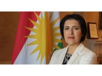 Beyan Sami Ebdulrahman: Elimizde çok sayıda belge var