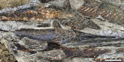 Bilim insanlarından büyük keşif!