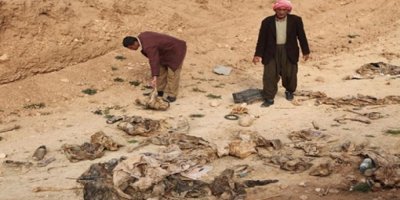 BM’den Şengal’de toplu mezar incelemesi