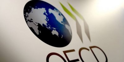 OECD: Türkiye'de ekonomisi 2019'da yüzde 2.6 küçülecek
