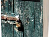 Kürt Hareketinin Sosyal Dinamikleri Üzerine