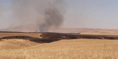 Bu sefer de Mahmur’da ekinler ateşe verildi