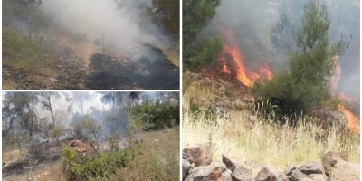 Efrin’in dağları ve ormanları ateşe veriliyor !