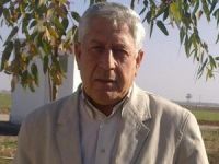 Oldu Bittilerle Yetmezliklerin Üstü Örtülmemelidir