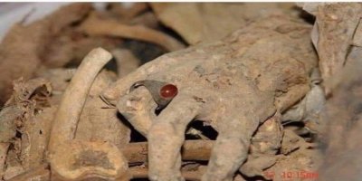 Yüzlerce Kürt naaşının bulunduğu toplu mezarlar açılıyor!