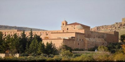 Mardin'deki tarihi manastırın bahçesinde yangın: Yüzlerce zeytin ağacı zarar gördü