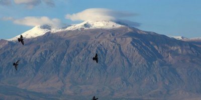 Munzur Dağları için kampanya başlatıldı