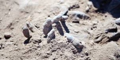 Hindistan'da toplu mezar bulundu