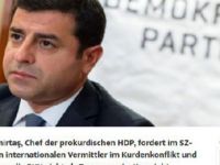 Demirtaş: "Biz PKK şiddetini kabul etmiyoruz"