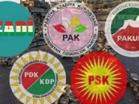 Kayyum Atamaları ve Öğretmenlerin Görevden Uzaklaştırılması Çözümsüzlükte Diretmektir