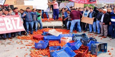 Çiftçinin borcu 48 kat arttı