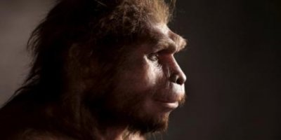 Homo Erectus sanıldığından daha uzun yaşamış