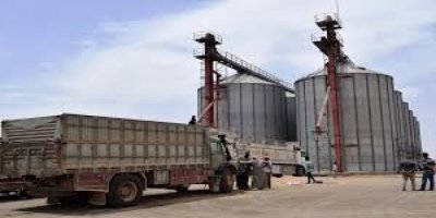 Türkiye, Girê Spî'den 20 bin ton hububat alıyor