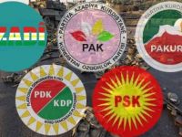 ”OHAL'in hukuka uygun olmayan tarzda kullanıldığı açıktır”