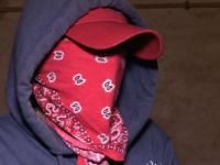 İsveç nasıl cihatçı yetiştiren bir ülke oldu?