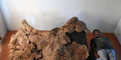 Araba büyüklüğünde kaplumbağa fosili bulundu
